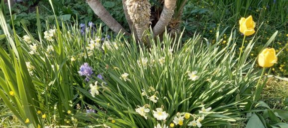 3 rooms House in Alessandria, Italy No. 251249 2