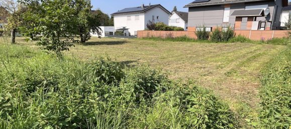  Land in Rastatt, Germany No. 358354 3