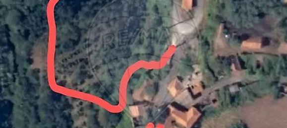 3 bedrooms House in Tondela, Portugal No. 17452 4