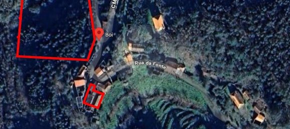 3 bedrooms House in Tondela, Portugal No. 17452 6