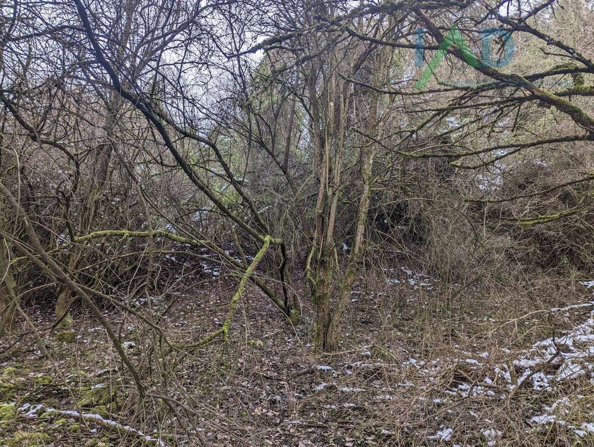 Terrain à Neckar-Odenwald-Kreis, Germany No. 226262