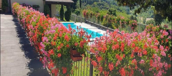 6 Schlafzimmer Villa in Magliano in Toscana, Italy, Nr. 404438 11
