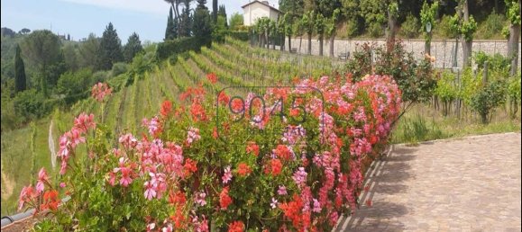 6 Schlafzimmer Villa in Magliano in Toscana, Italy, Nr. 404438 22