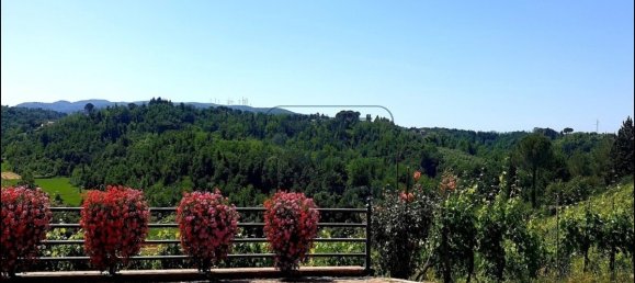 6 Schlafzimmer Villa in Magliano in Toscana, Italy, Nr. 404438 8