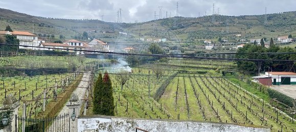 Дом с 2 спальнями в Ламегу, Португалия № 157960 12