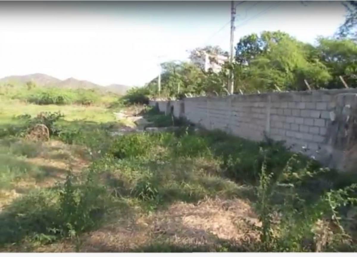  Land in Guadalajara de Buga, Colombia No. 822