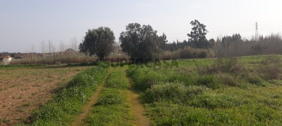 Grundstück in Oliveira do Bairro, Portugal, Nr. 164609 2