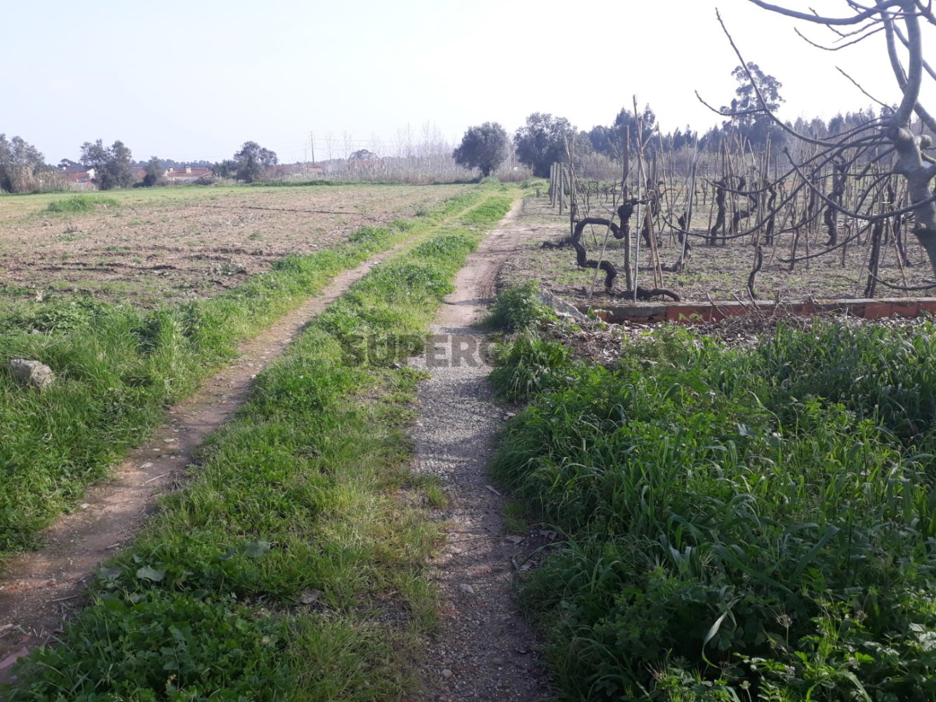 Grundstück in Oliveira do Bairro, Portugal, Nr. 164609