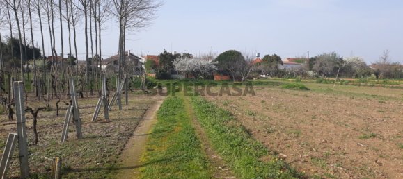 Grundstück in Oliveira do Bairro, Portugal, Nr. 164609 3