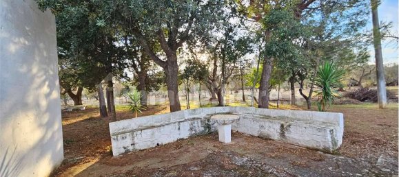 2غرفة منزل في Carovigno, Italy رقم 111152 11