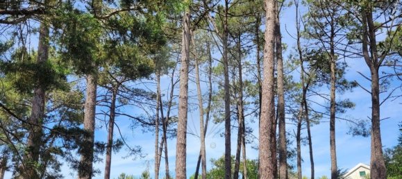 Grundstück in Sesimbra, Portugal 850m², Nr. 54014 7