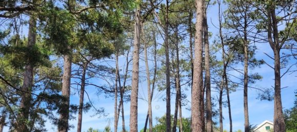 Grundstück in Sesimbra, Portugal 850m², Nr. 54014 5