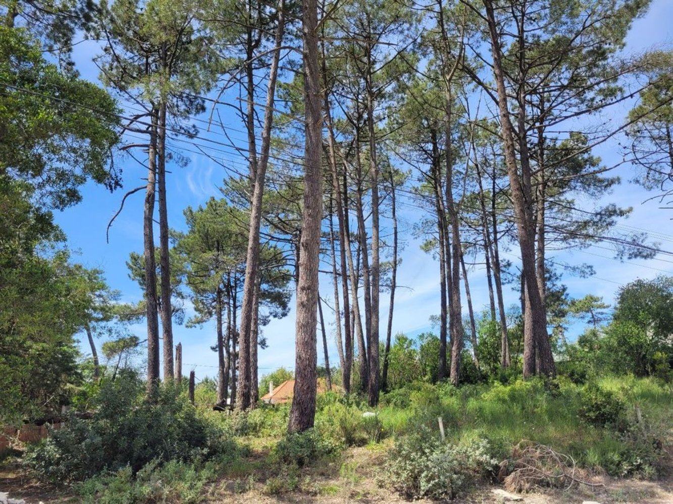 Grundstück in Sesimbra, Portugal 850m², Nr. 54014