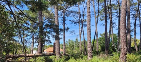 Grundstück in Sesimbra, Portugal 850m², Nr. 54014 3