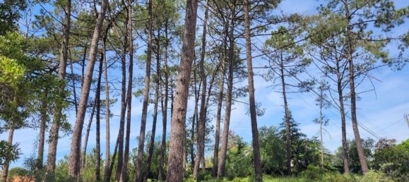 Grundstück in Sesimbra, Portugal 850m², Nr. 54014 4