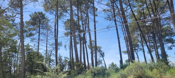 Grundstück in Sesimbra, Portugal 850m², Nr. 54014 2