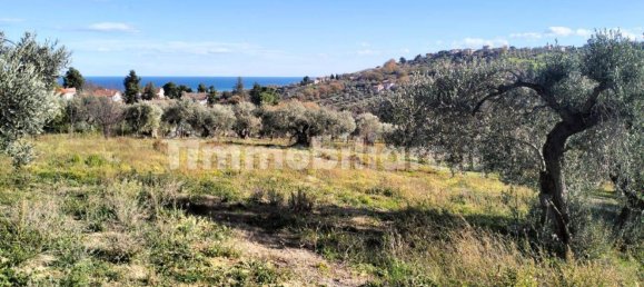 Terrain à Montesilvano, Italy 5000m² No. 251036 4