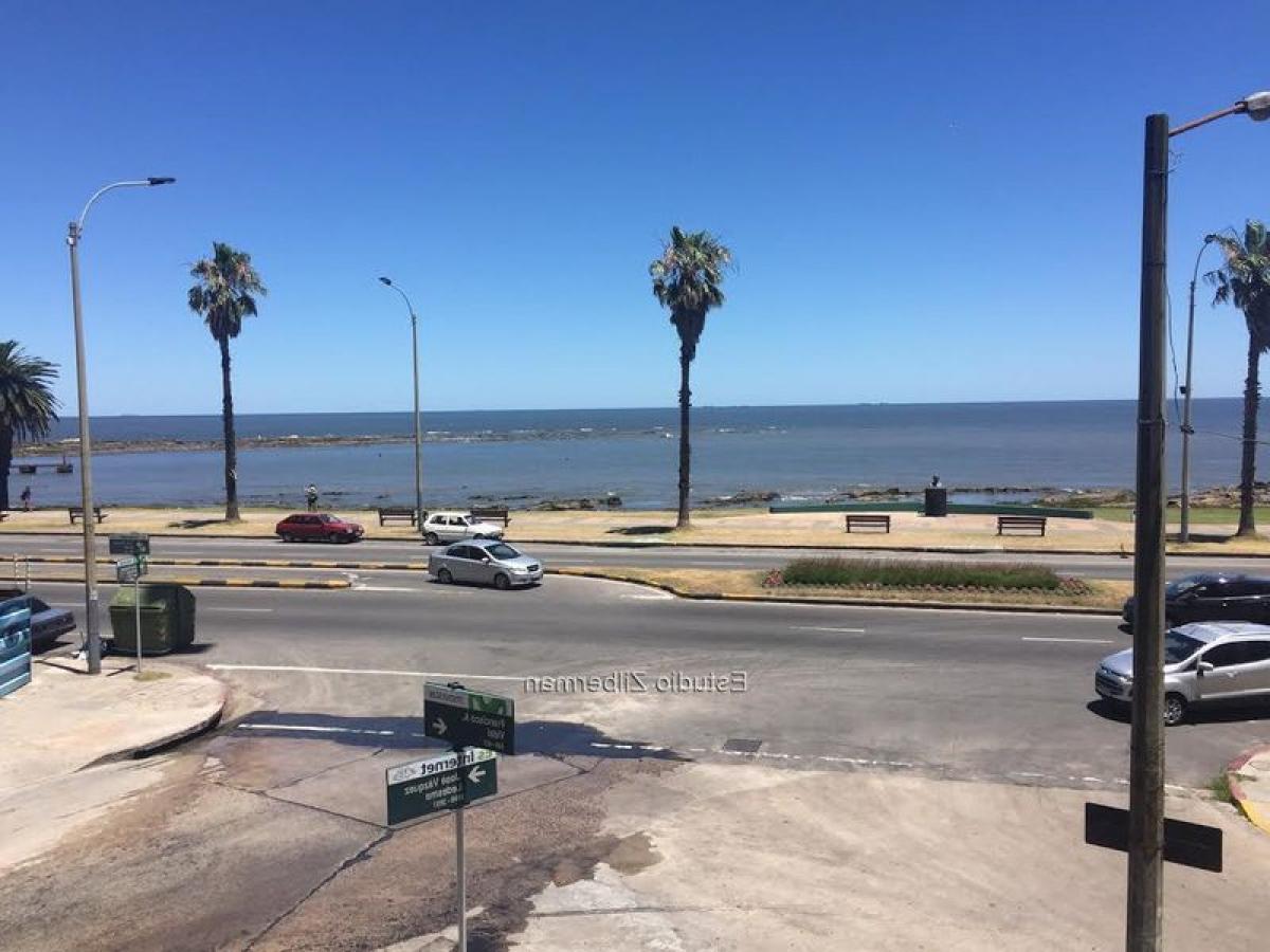 2 chambres Appartement à Montevideo, Uruguay No. 3702