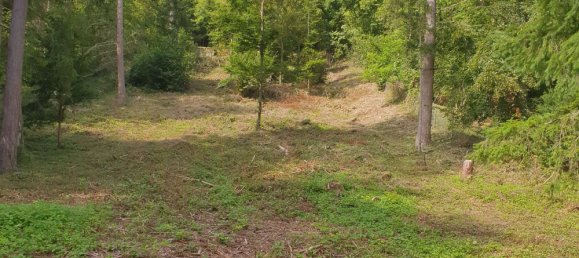  قطعة أرض في Enzkreis, Germany رقم 243854 2