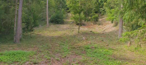  قطعة أرض في Enzkreis, Germany رقم 243854 3