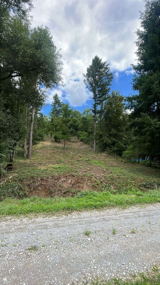  قطعة أرض في Enzkreis, Germany رقم 243854