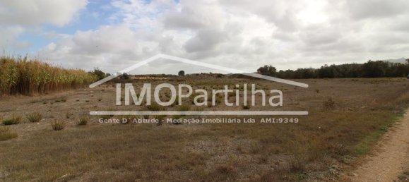 Terrain à Sintra, Portugal 2000m² No. 79536 14
