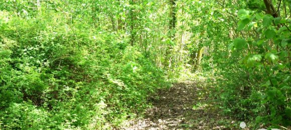 4 غرف نوم منزل في Givenchy-en-Gohelle, France رقم 71883 9