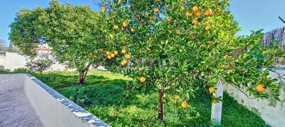 4 غرف نوم منزل في Sao Bartolomeu de Messines, Portugal رقم 76638 42