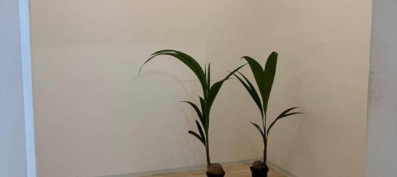 1 غرف نوم شقة في Favoriten, Austria رقم 174038 5