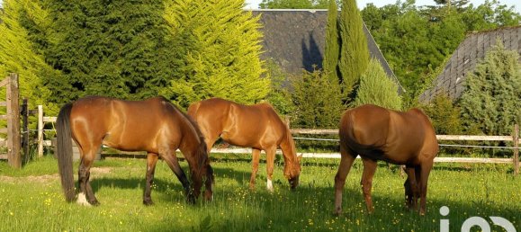 2 bedrooms House in Manche, France No. 282549 13