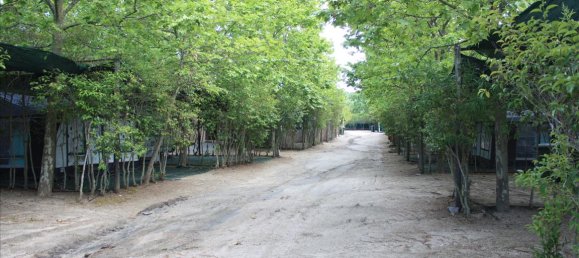 33802m² Hotel in Chalkidiki, Greece No. 6739 7