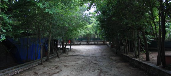 33802m² Hotel in Chalkidiki, Greece No. 6739 9