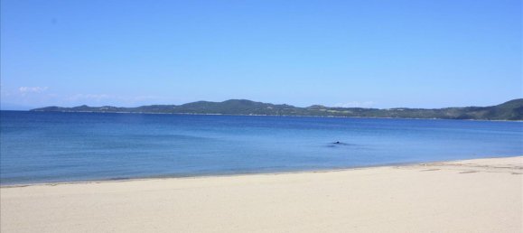 Hotel in Chalkidiki, Greece 33802m², Nr. 6739 11