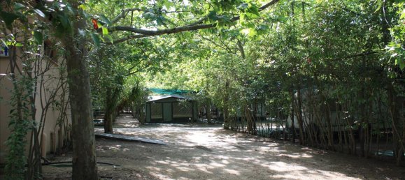 33802m² Hotel in Chalkidiki, Greece No. 6739 6