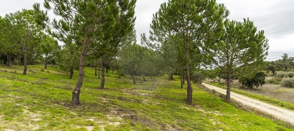 14750m² Land in Cabecao, Portugal No. 90322 4
