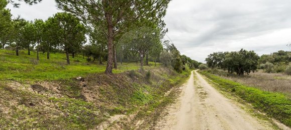 14750m² Land in Cabecao, Portugal No. 90322 5