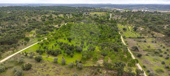 14750m² Land in Cabecao, Portugal No. 90322 7