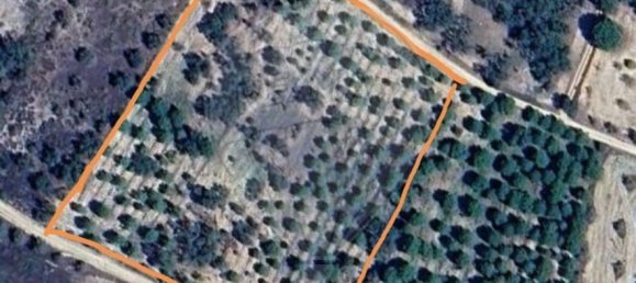 14750m² Land in Cabecao, Portugal No. 90322 2