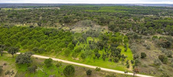 14750m² Land in Cabecao, Portugal No. 90322 9