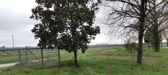 10 bedrooms House in Alfonsine, Italy No. 320094 3