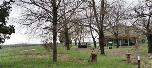 10 bedrooms House in Alfonsine, Italy No. 320094 4