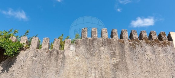 10 Schlafzimmer Haus in Quiaios, Portugal, Nr. 166680 25
