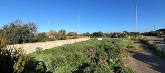 Grundstück in Olmedo, Italy 300m², Nr. 286300 4