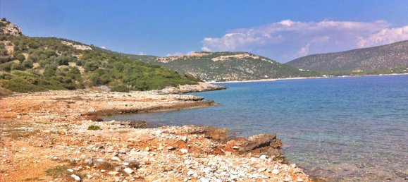 Hotel in Marathon, Greece 8325m², Nr. 6911 3