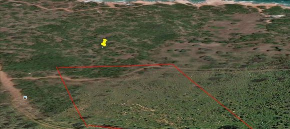 Hotel in Marathon, Greece 8325m², Nr. 6911 6