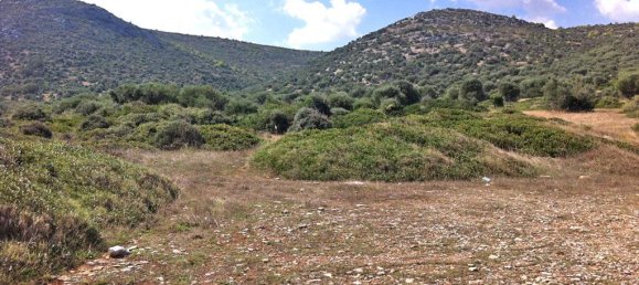 Hotel in Marathon, Greece 8325m², Nr. 6911 7