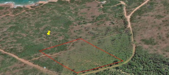 Hotel in Marathon, Greece 8325m², Nr. 6911 5