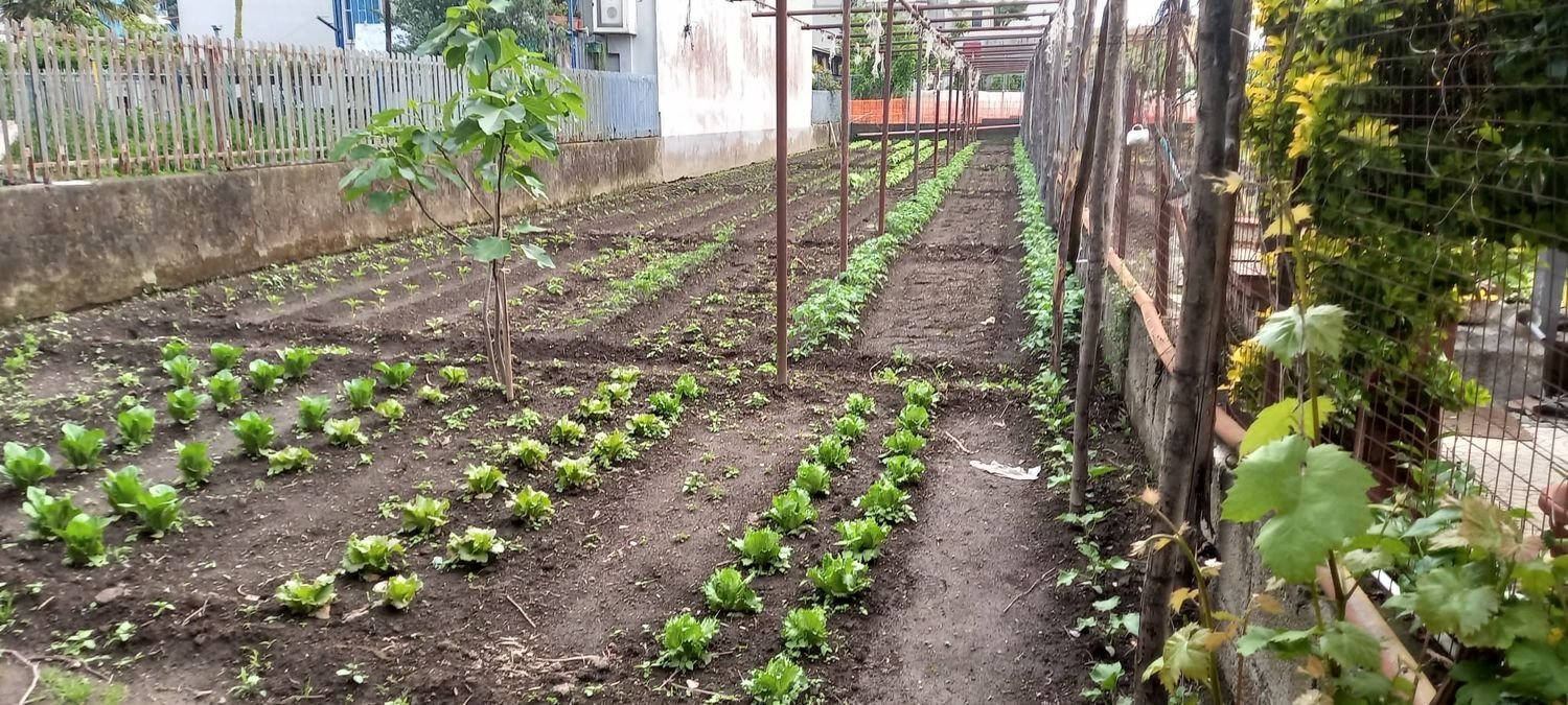 Gewerbliche Immobilie in Pompei, Italy 95m², Nr. 86038