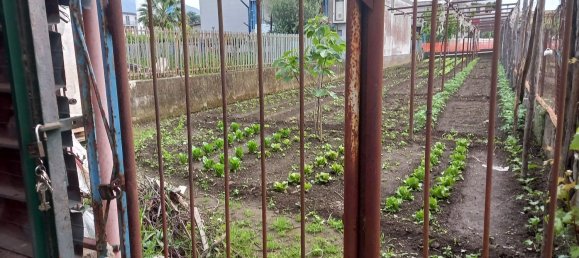 Gewerbliche Immobilie in Pompei, Italy 95m², Nr. 86038 2