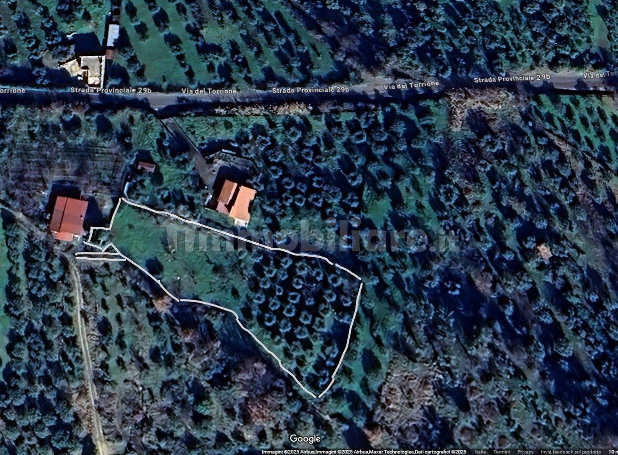 2900m² Land in Poli, Italy No. 251504